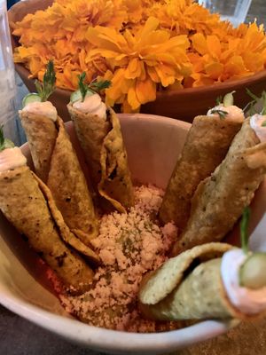 Tacos dorados de papa con guacamole y queso at Los Loosers in Mexico City