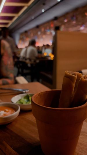   at Sentir in New York City