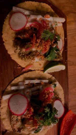   at Sentir in New York City