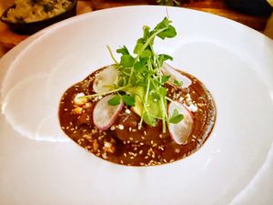 Chicken mole  at Sentir in New York City