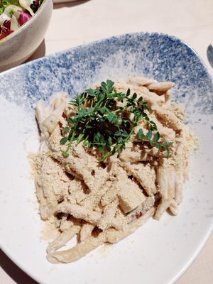 Whole wheat pasta with tofu and cashew sauce at Samsara in Cluj-napoca