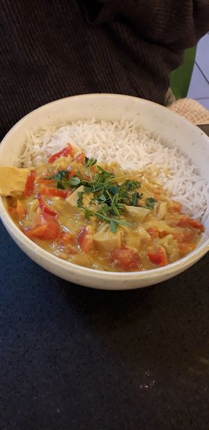 Coconut and jackfruit curry at Samsara in Cluj-napoca