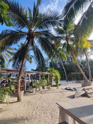 Location at Pallet Cafe in Diani Beach
