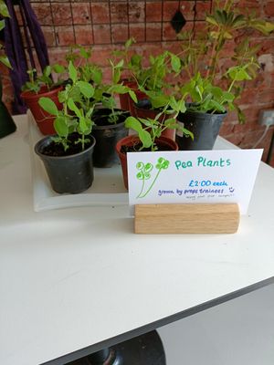  at Crafted by Props in Bristol