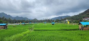 View at Warung Bintang in Manggis