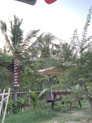 View to the street/beach  at Natural Corner  in Tangalle