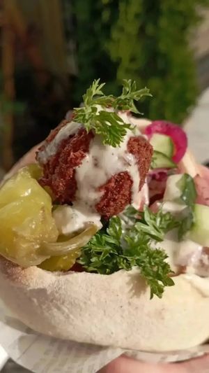 Have you tried our traditional Middle Eastern Falafel? ☺️😋 at Dalante  in Lincoln