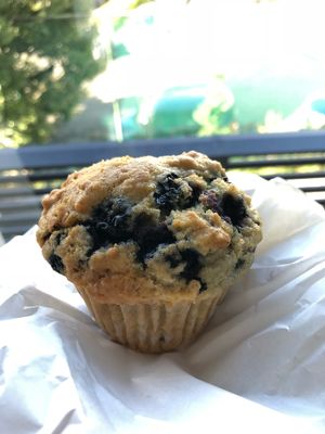 Blueberry muffin at Alaska Zwei in Tokyo
