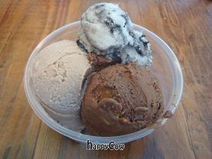 cookies & cream, amaretto and chocolate walnut fudge ice cream at Maddys in Los Angeles
