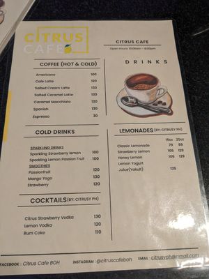 Menu at Citrus Cafe  in Batuan