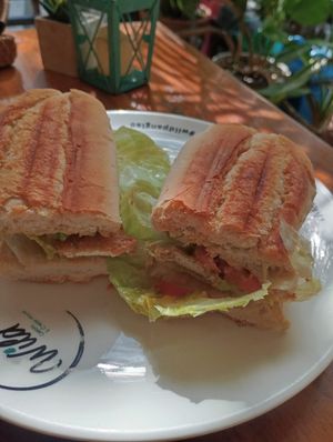 Tufo sandwich at Wild in Bohol