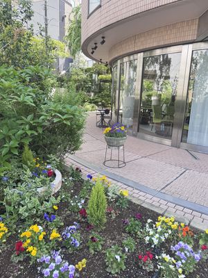   at Natural Cafe Tabunoki in Tokyo