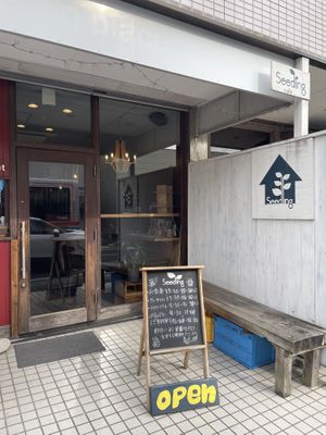 Front  at Seedling in Zushi