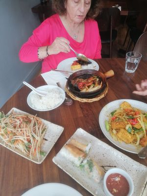 Mango salad, Summer rolls, stir fry with tofu, sizzling aubergine at Viet Chefs in North London