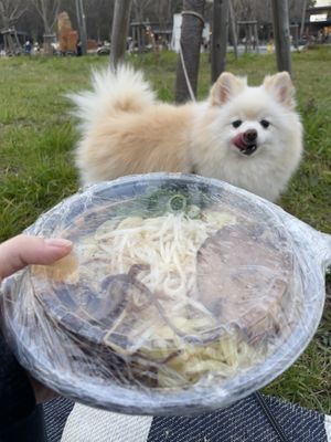 Takeout in the park with dog!   at Ramen Kiou Morinomiya in Osaka