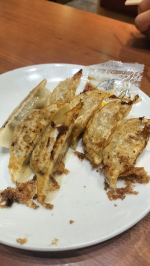 Gyoza at Ramen Kiou Morinomiya in Osaka