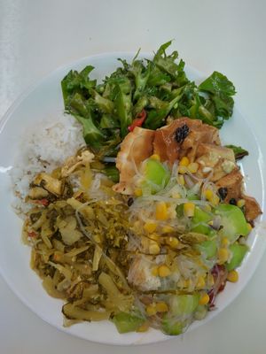 Buffet food 5RM for rice with 3 dishes + 2RM each for extra dishes at Gandhara Vegetarian Restaurant in Kuching