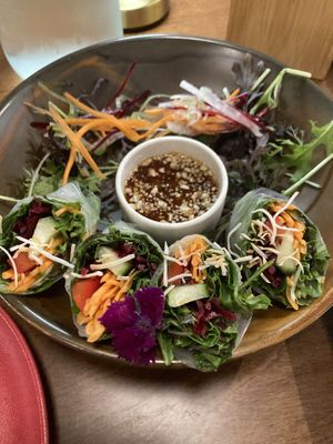 Veggie rice paper rolls and satay  at Khu Khu CBD in Auckland