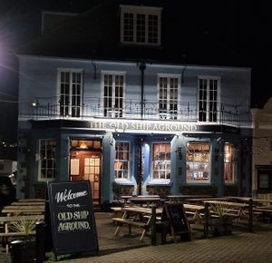 5 vegan options plus a vegan special at The Old Ship Aground in Minehead