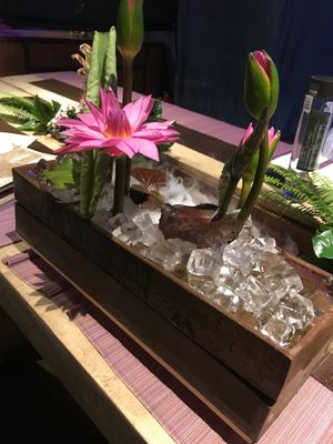 saye's choice in Beijing  at Pure Lotus - Jìng Xīn Lián 净心莲 in Beijing