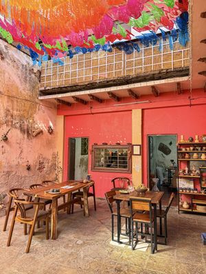   at Chimalapa Cacao in Oaxaca