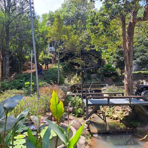  at Khiang Kao Forest & Cafe in Phuket