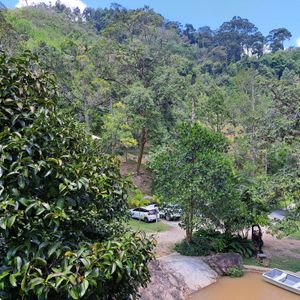  at Khiang Kao Forest & Cafe in Phuket