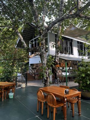 The cafe !   at Khiang Kao Forest & Cafe in Phuket