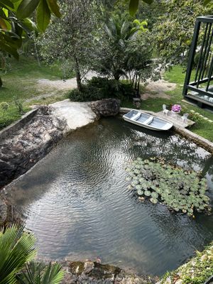 The view of the cafe !   at Khiang Kao Forest & Cafe in Phuket