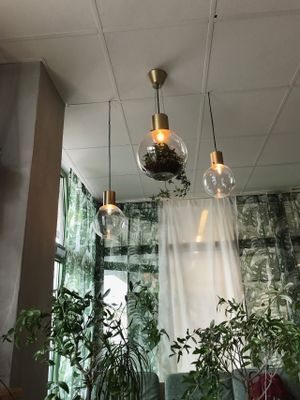 Interior at Zest in Karlstad