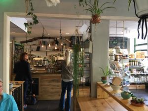 Fantastic food! Fresh salads, fresh dumplings (veggie/meat/vegan), perfect coffee (with soya or oat!) at Zest in Karlstad