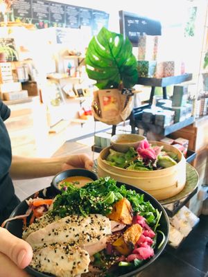 Vegan dumplings at Zest in Karlstad