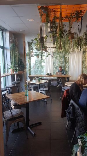 Cute and cozy dining area!  at Zest in Karlstad