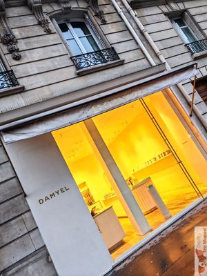 Facade at Damyel in Paris