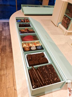 Choice at Damyel in Paris