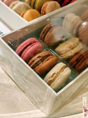 Macarons at Damyel in Paris