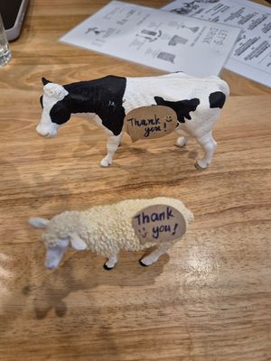  at Cafe Zi - 梔子 in Kowloon