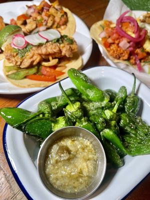 Padron peppers   at Antojitos in Glasgow