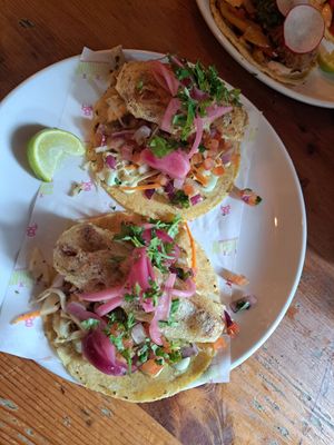 Beer battered banana blossom tacos at Antojitos in Glasgow