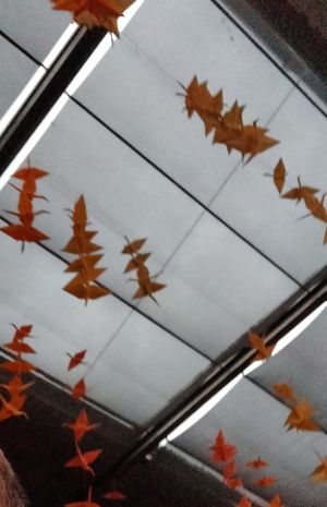 Origami in the ceiling at Skyline Sushi in Amman