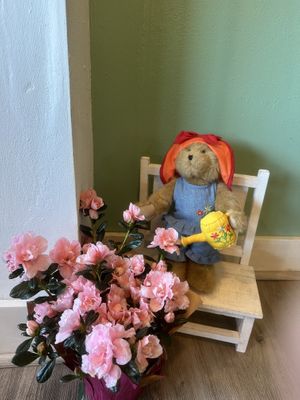   at Charm Thai in Bradenton