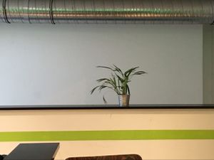 inside: clean ;) at Green Republic in Erfurt