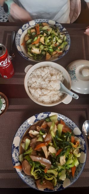 Mushroom veg, tofu veg and rice at An Tam Coc in Ninh Binh