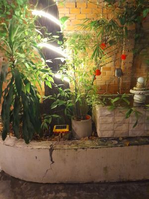  at Mầm Vegetarian in Phu Nhuan