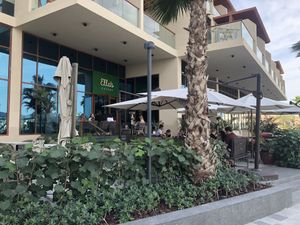 The venue  at Ella's Eatery in Dubai