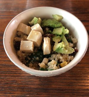 Buddha bowl  at Ella's Eatery in Dubai