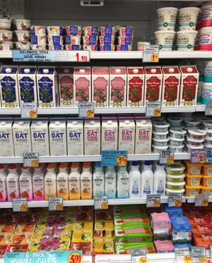 Plant based milks, yogurts and butter at Trader Joe's  in Eagan