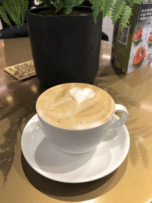 Oat milk cappuccino   at The Lime Tree Cafe - Nakheel Mall - Maybe closed in Dubai