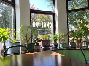 View through the front window with plants at Chai - Yo  in Montreal