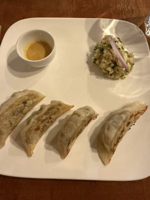 Gyoza starter  at Le Champ du Vagabond in Briancon